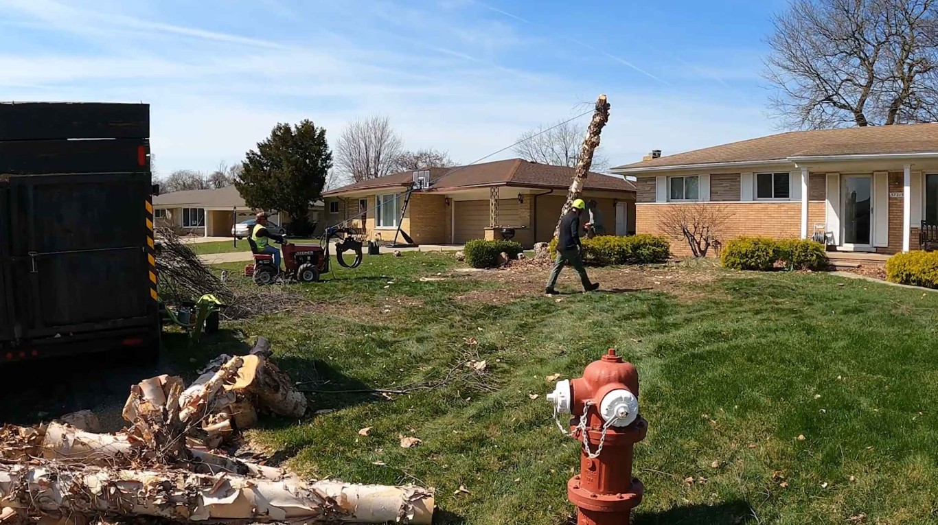 Professional shrub and hedge trimming crew in Oak Lawn, IL